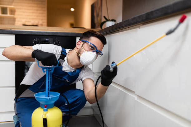 Flea Control Services in Boothwyn, PA
