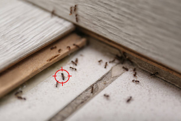 Pest Control Cost in Boothwyn, PA