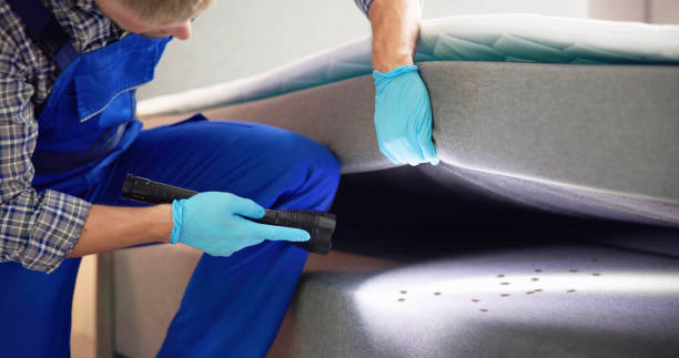 Best Pest Control Near Me  in Boothwyn, PA