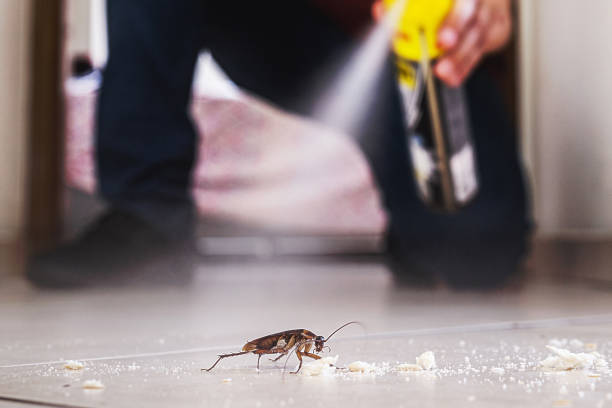 Best Pest Removal Services  in Boothwyn, PA
